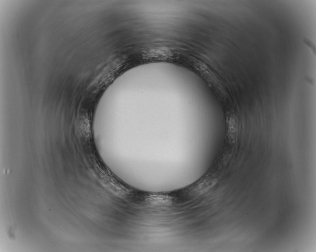 X0000100780617200807101818