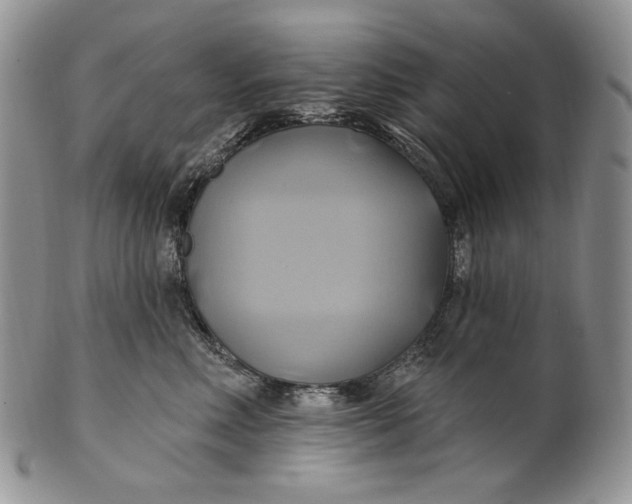 X0000100780618200807101818