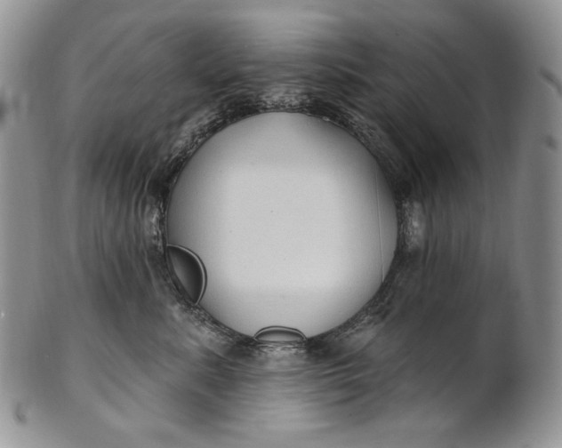 X0000100780619200807101818