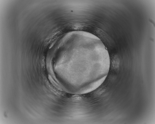 X0000100780620200807101818