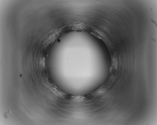 X0000100780621200807101818