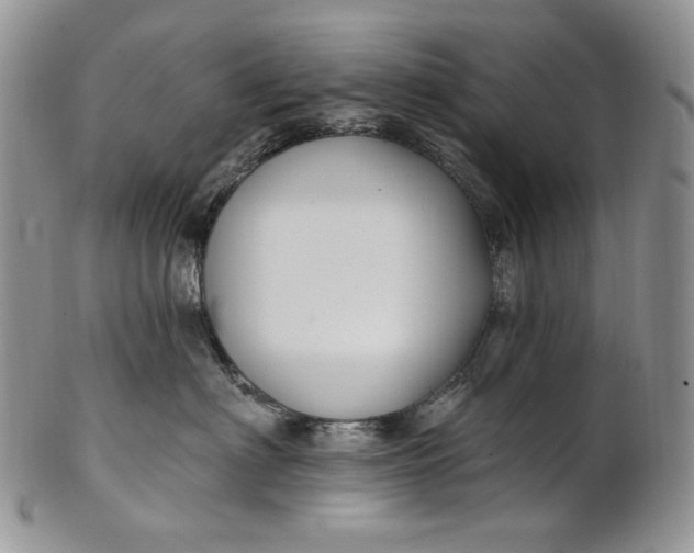 X0000100780622200807101818