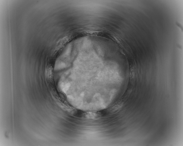 X0000100780623200807101818