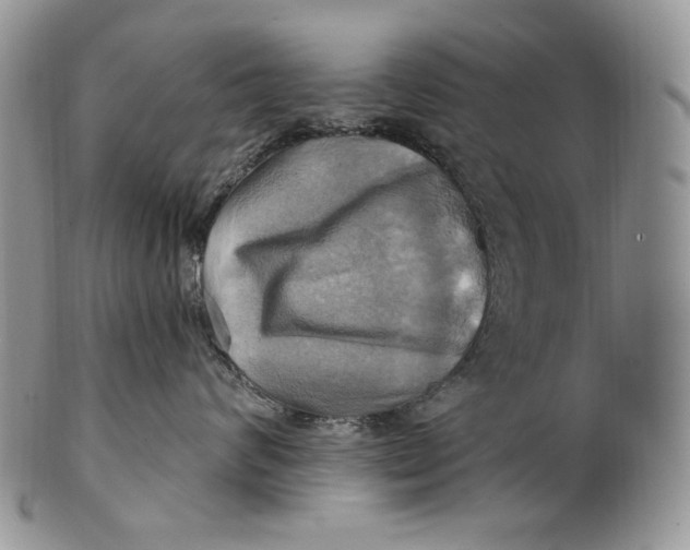 X0000100780624200807101818