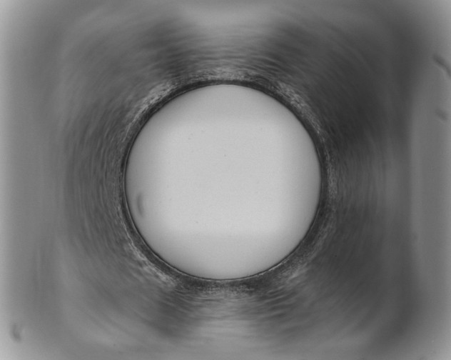 X0000100780625200807101817