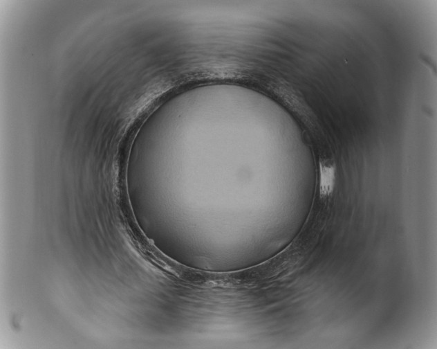 X0000100780627200807101817