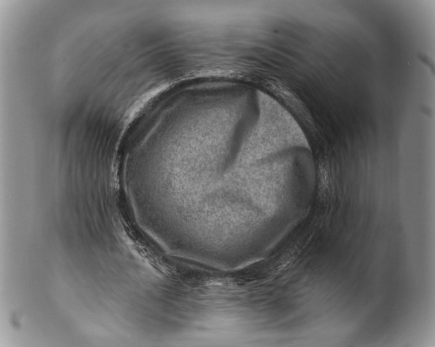 X0000100780628200807101817