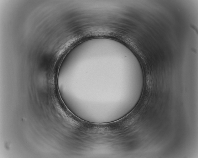 X0000100780629200807101817