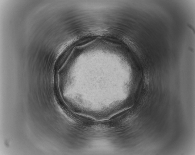 X0000100780630200807101817