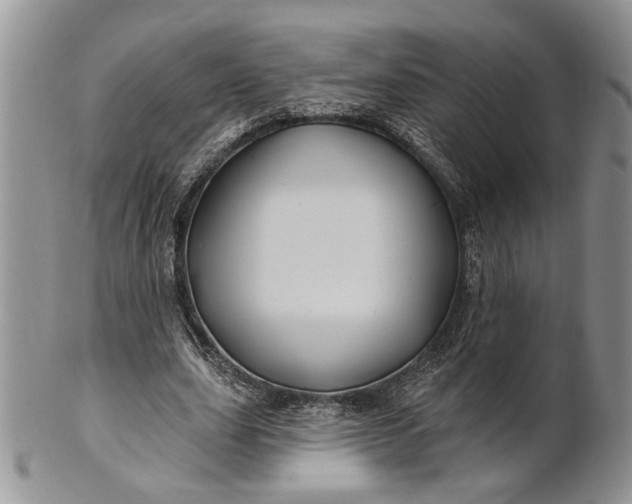 X0000100780631200807101817