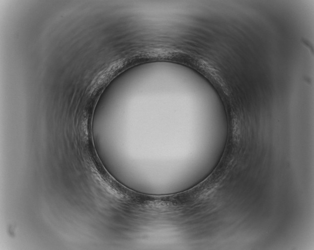 X0000100780633200807101817