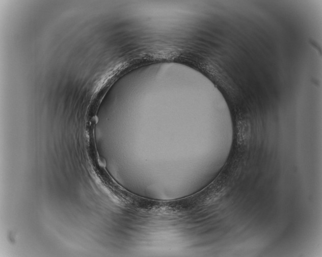 X0000100780634200807101817