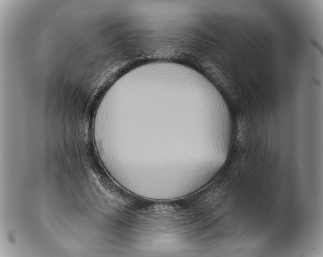 X0000100780636200807101817