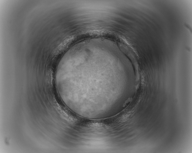 X0000100780637200807101817