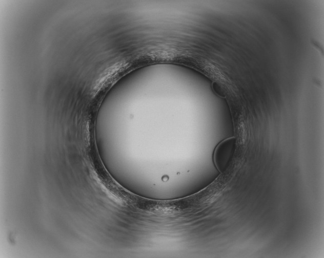 X0000100780638200807101817