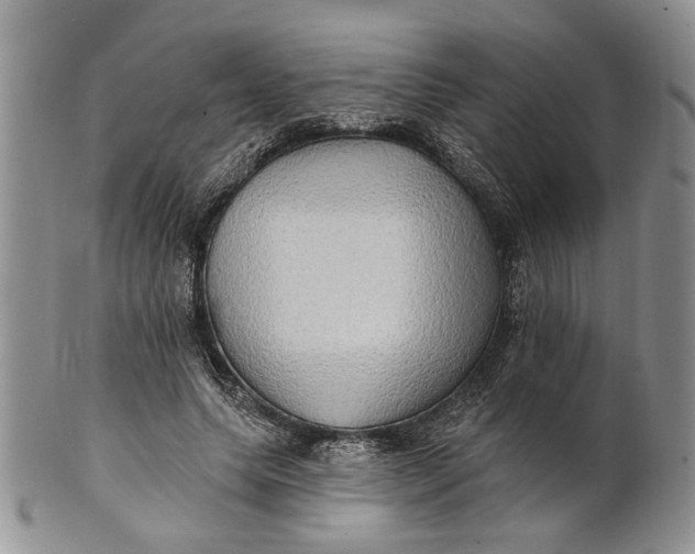 X0000100780639200807101817