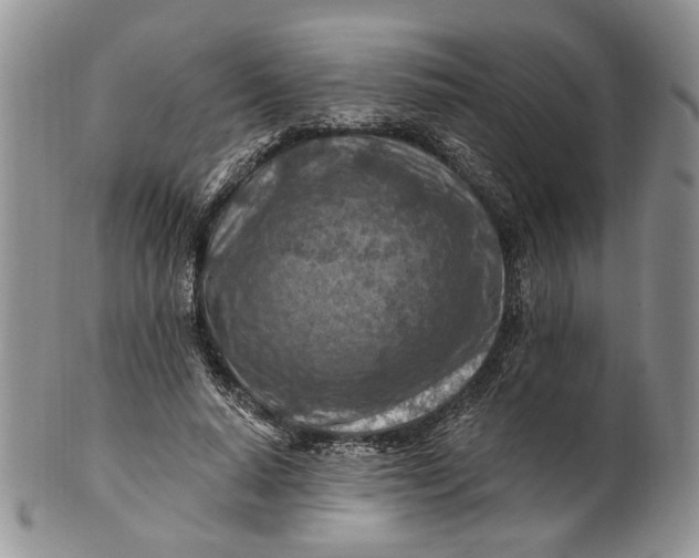 X0000100780640200807101817