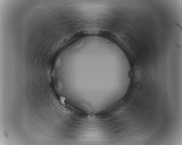 X0000100780641200807101817