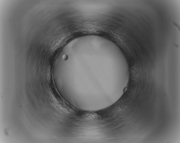 X0000100780642200807101817