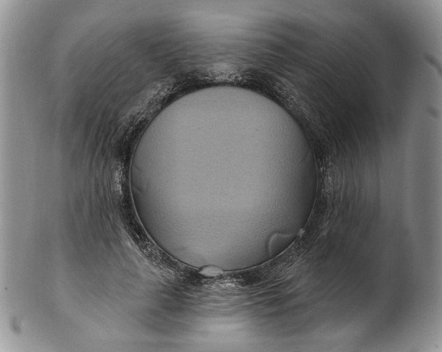 X0000100780643200807101817