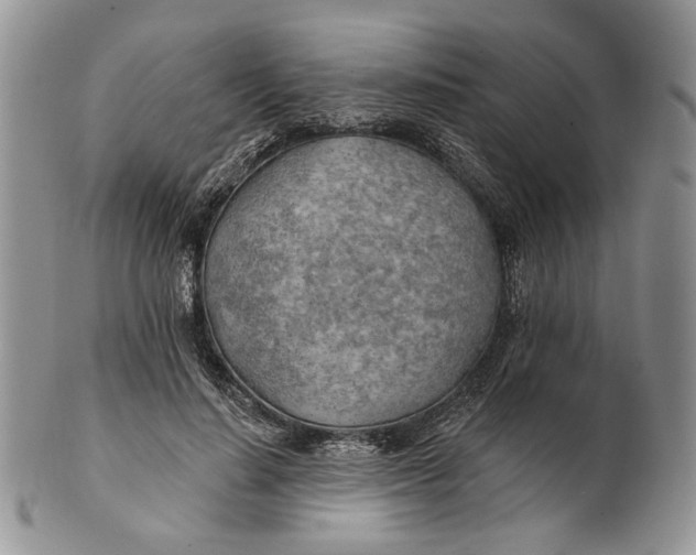 X0000100780644200807101817