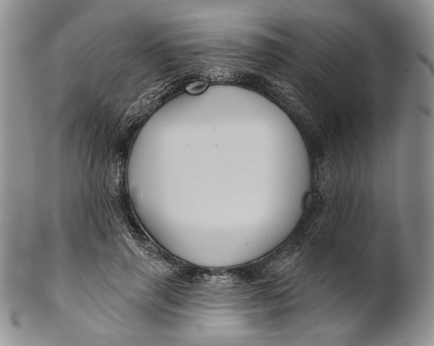 X0000100780645200807101817