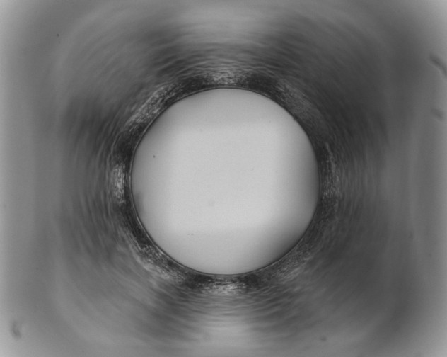 X0000100780646200807101817