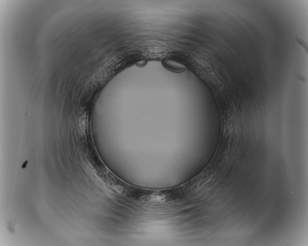 X0000100780647200807101817