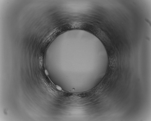 X0000100780648200807101817