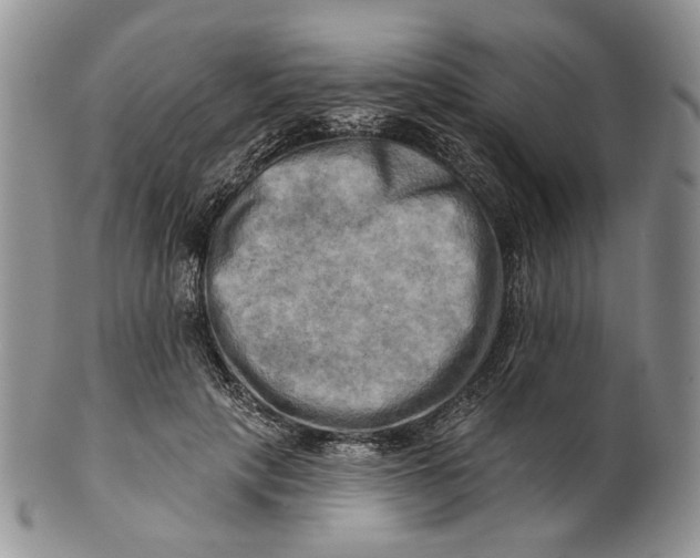 X0000100780649200807101817