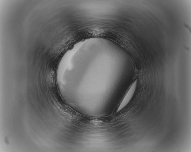 X0000100780650200807101817