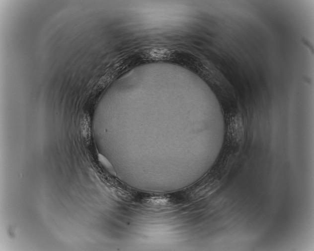 X0000100780651200807101817