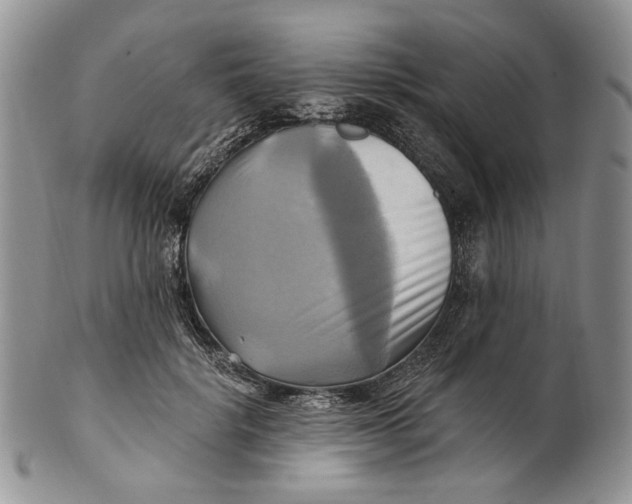 X0000100780652200807101817