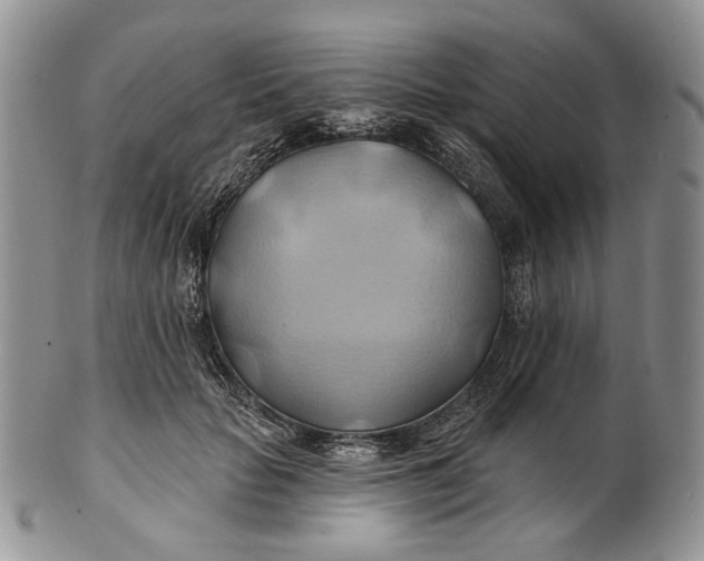 X0000100780653200807101817