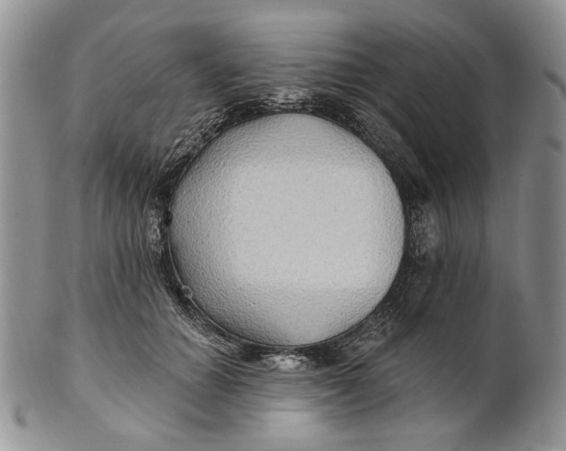 X0000100780654200807101817