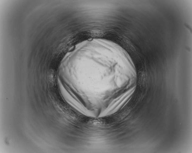 X0000100780655200807101817