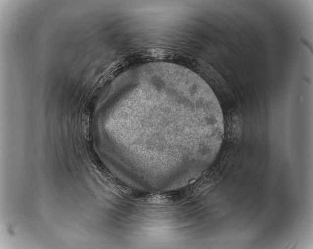 X0000100780656200807101817