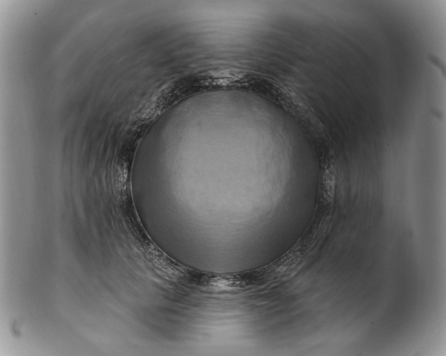 X0000100780657200807101818