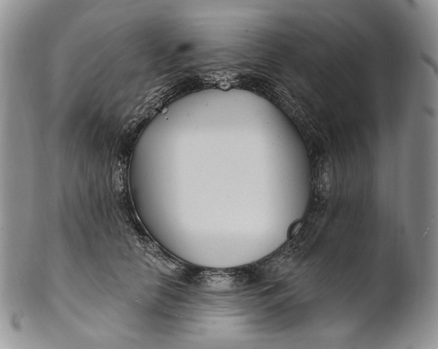 X0000100780658200807101818