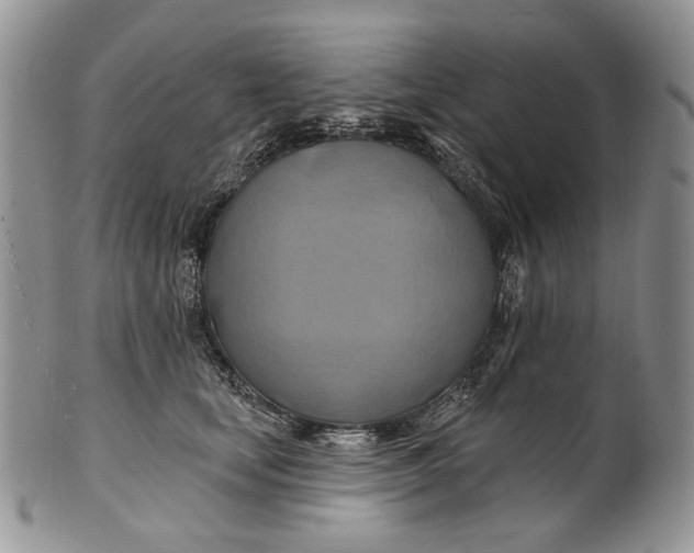 X0000100780659200807101818