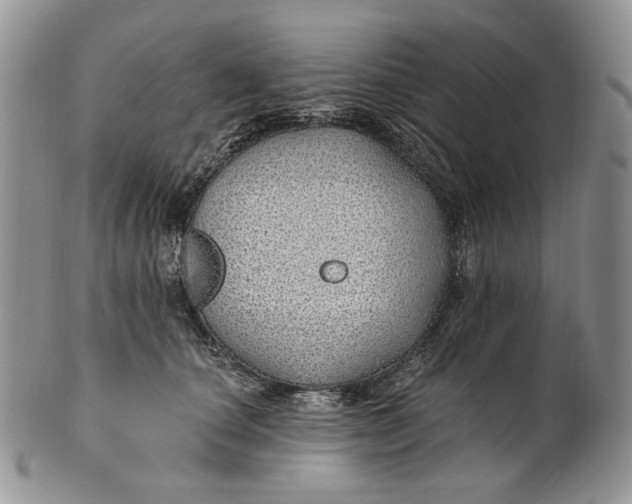 X0000100780660200807101818