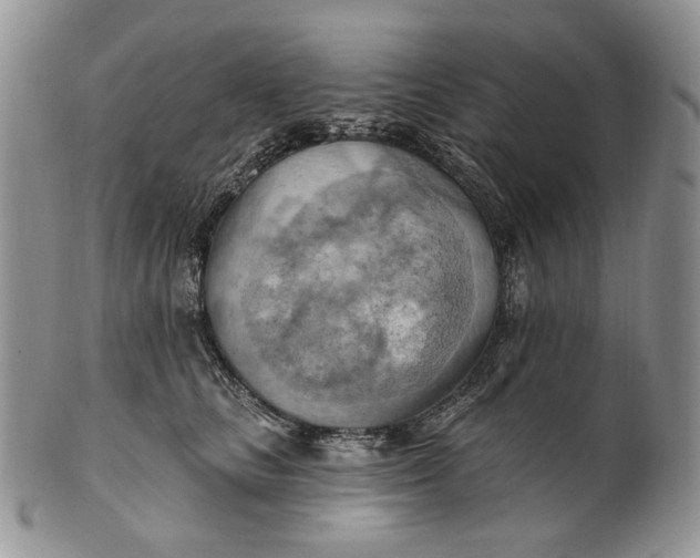 X0000100780661200807101818