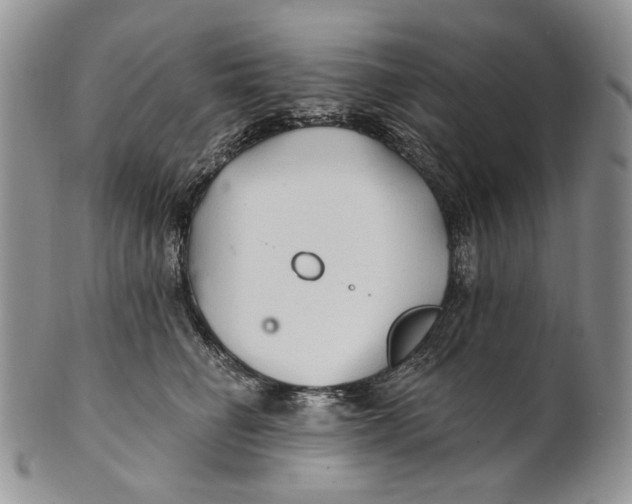 X0000100780662200807101818