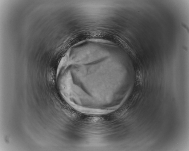 X0000100780663200807101818