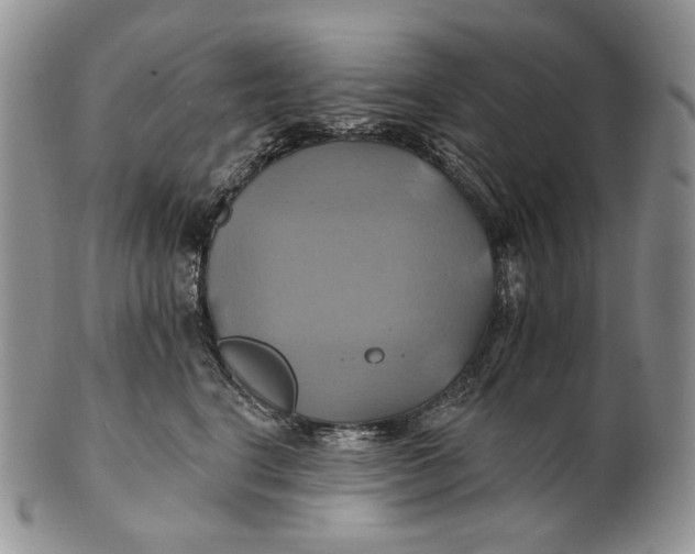 X0000100780664200807101818