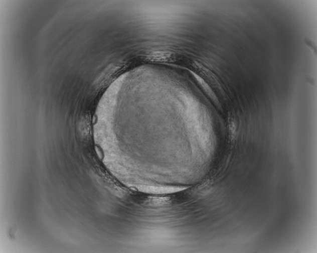 X0000100780665200807101818