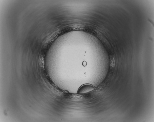 X0000100780666200807101818