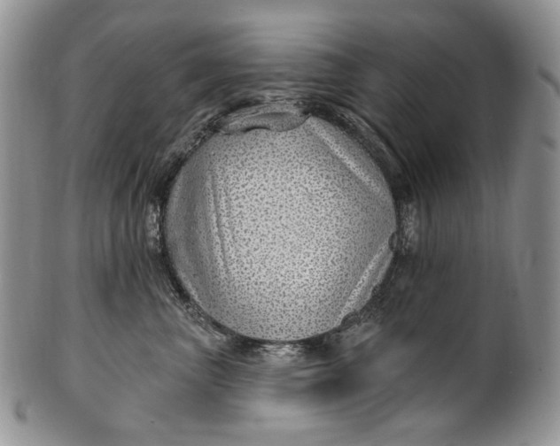 X0000100780667200807101818