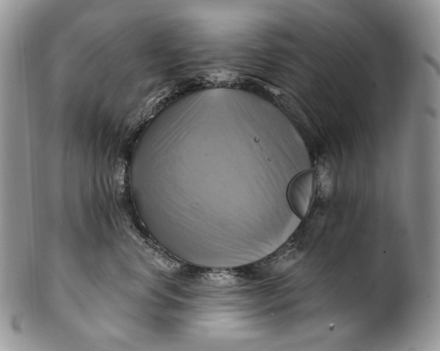 X0000100780668200807101818