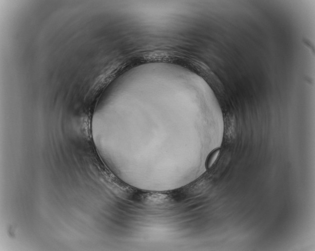 X0000100780669200807101818